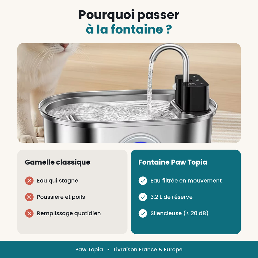 Fontaine à Eau 3,2 L en Inox pour Chiens et Chats