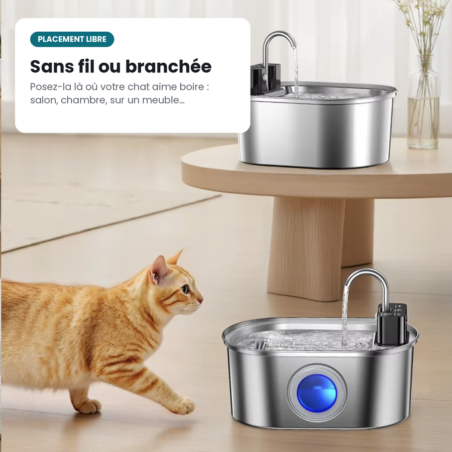 Fontaine à Eau 3,2 L en Inox pour Chiens et Chats