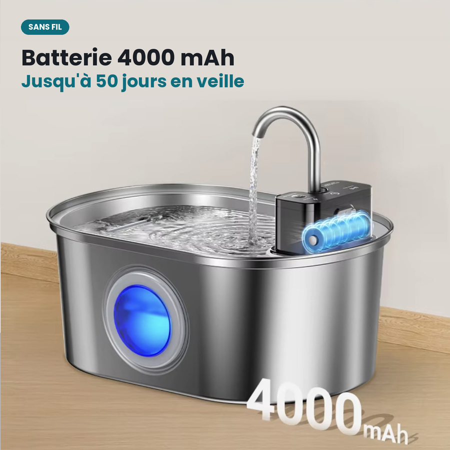 Fontaine à Eau 3,2 L en Inox pour Chiens et Chats