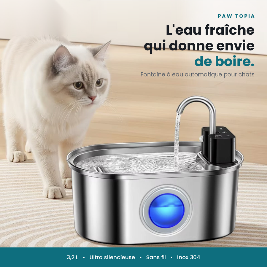 Fontaine à Eau 3,2 L en Inox pour Chiens et Chats