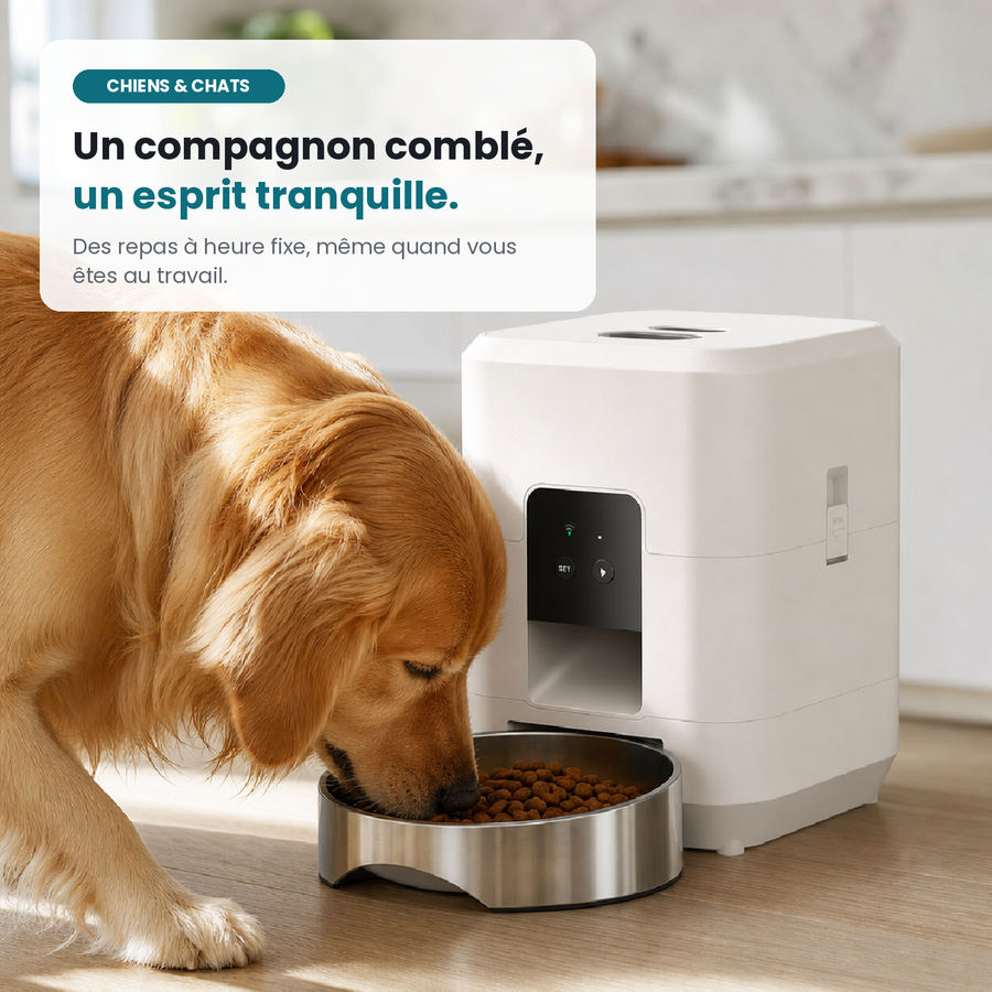 Distributeur Intelligent Programmable avec Appli pour Chien et Chat